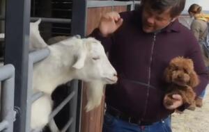 Во время посещения зоопарка Богдан держал на руках собаку