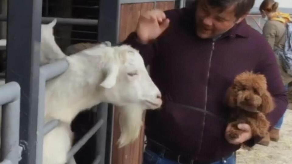 Під час відвідування зоопарку Богдан тримав на руках собаку