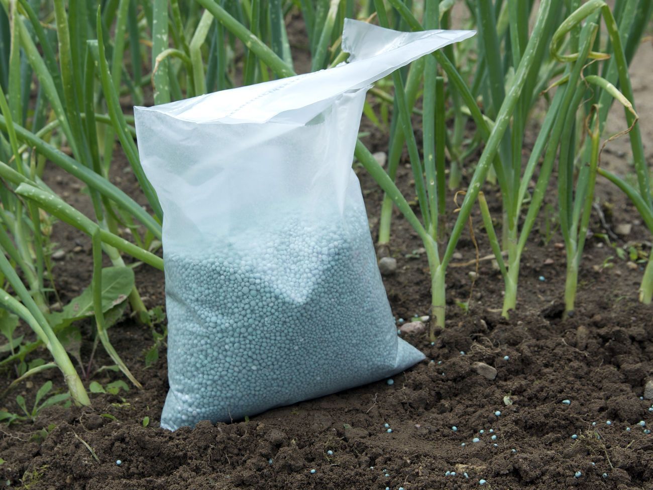 Міжвідомча комісія з міжнародної торгівлі при Міністерстві економіки планує ввести обмеження на імпорт міндобрив на три роки