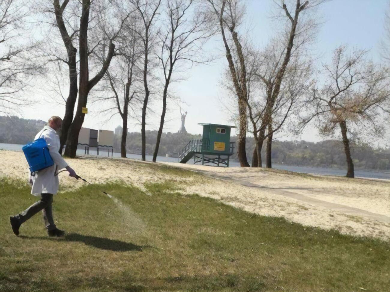 Обследуются 14 пляжных зон