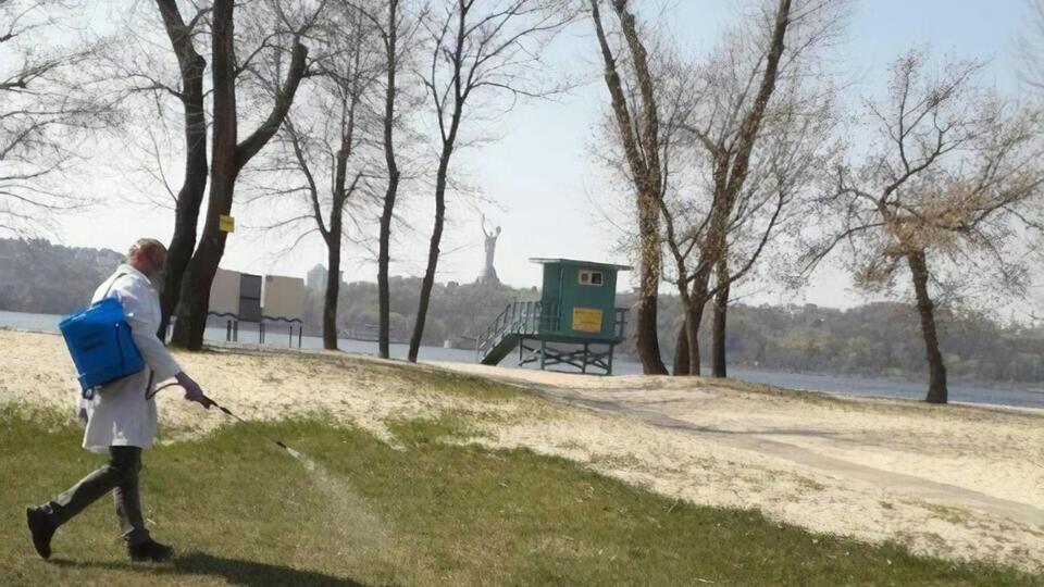 Обследуются 14 пляжных зон