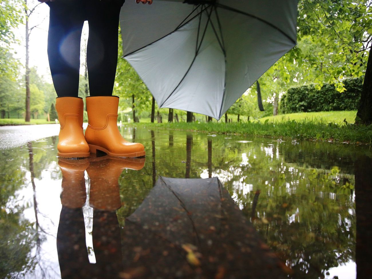 В Україну прийшли дощі