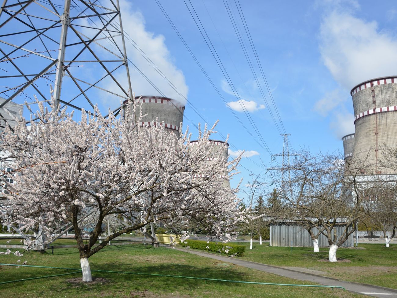 В компании "Энергоатом" рассказали о ситуации с коронавирусом на АЭС