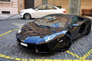 П'ятирічний автолюбитель у США був твердо націлений придбати Lamborghini