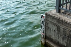 В Волынцевском водохранилище нормы предельно допустимой концентрации в воде нефтепродуктов превышены в шесть раз