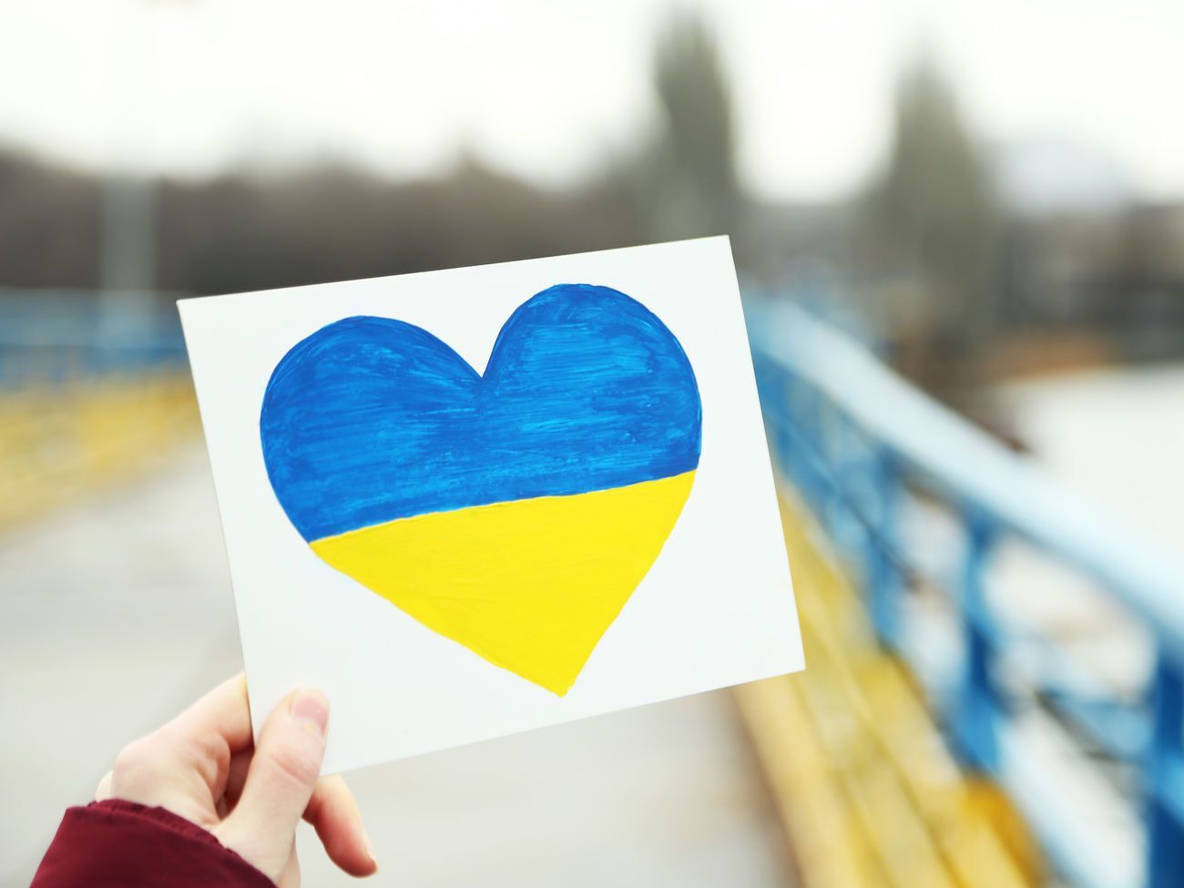 Украина улучшила показатели демократического развития в сравнении с 2018 годом