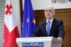 Глава МЗС Грузії каже, що владі країни необхідно визначитися з діями