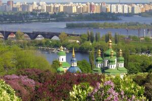 За последние сутки в Киеве госпитализировано 20 человек