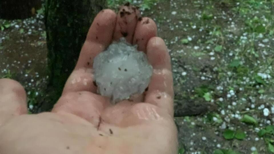 Очевидці спостерігали незвично великі градини