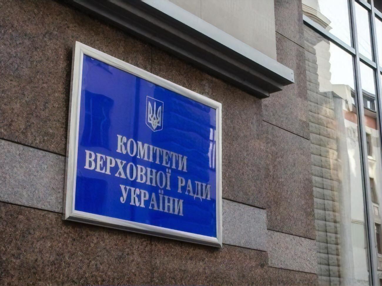 В антикорупційному комітеті виникли побоювання через повноваження організаторів референдуму