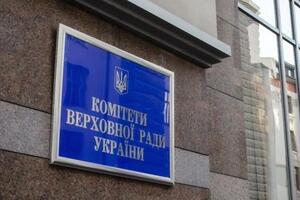 В антикорупційному комітеті виникли побоювання через повноваження організаторів референдуму