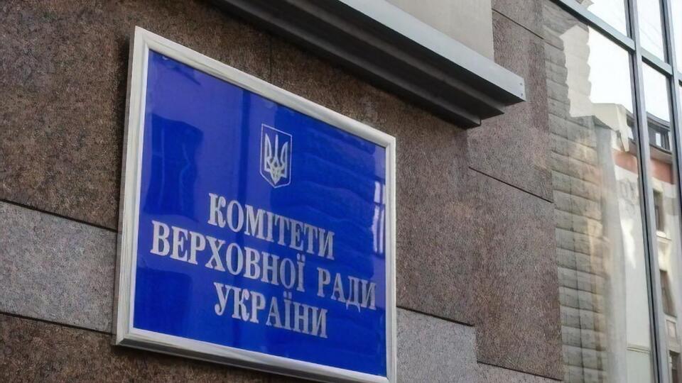 В антикорупційному комітеті виникли побоювання через повноваження організаторів референдуму