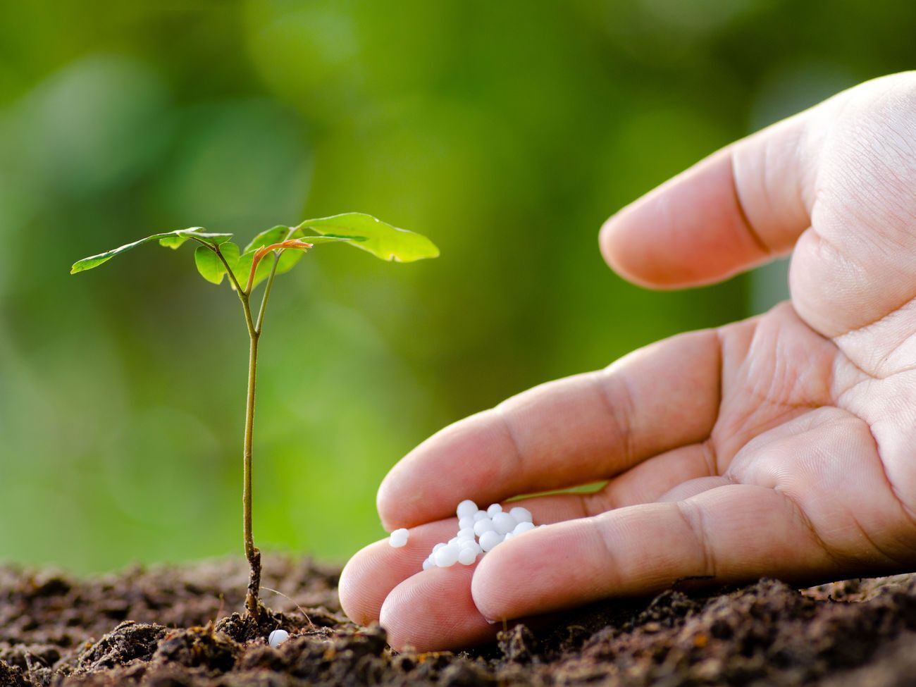 Матеріали розслідувань підтверджують наявність підстав для введення квот на добрива, стверджують директори хімзаводів