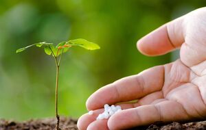 Матеріали розслідувань підтверджують наявність підстав для введення квот на добрива, стверджують директори хімзаводів