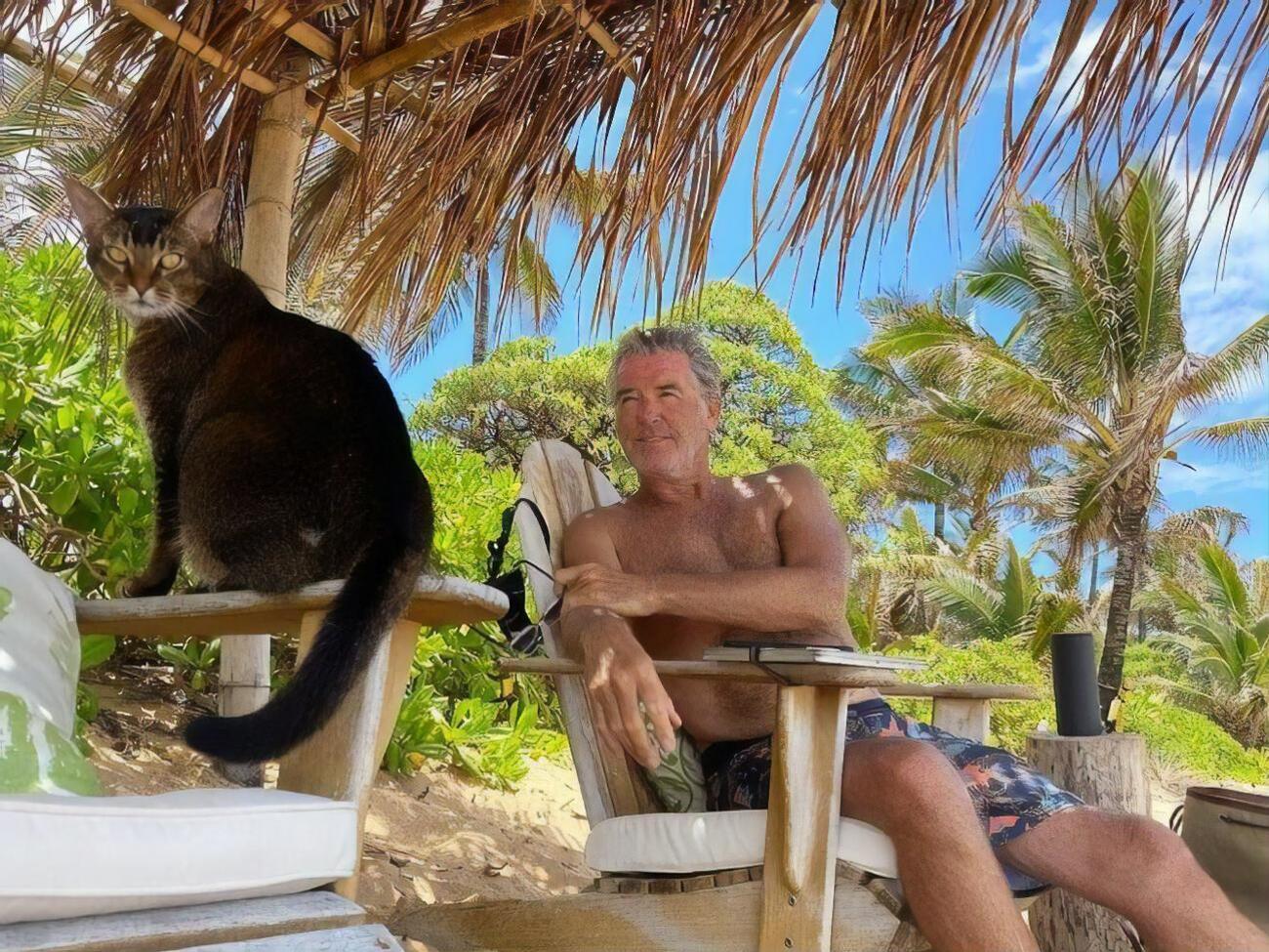 Во время карантина Броснан с семьей изолировался на Гавайях