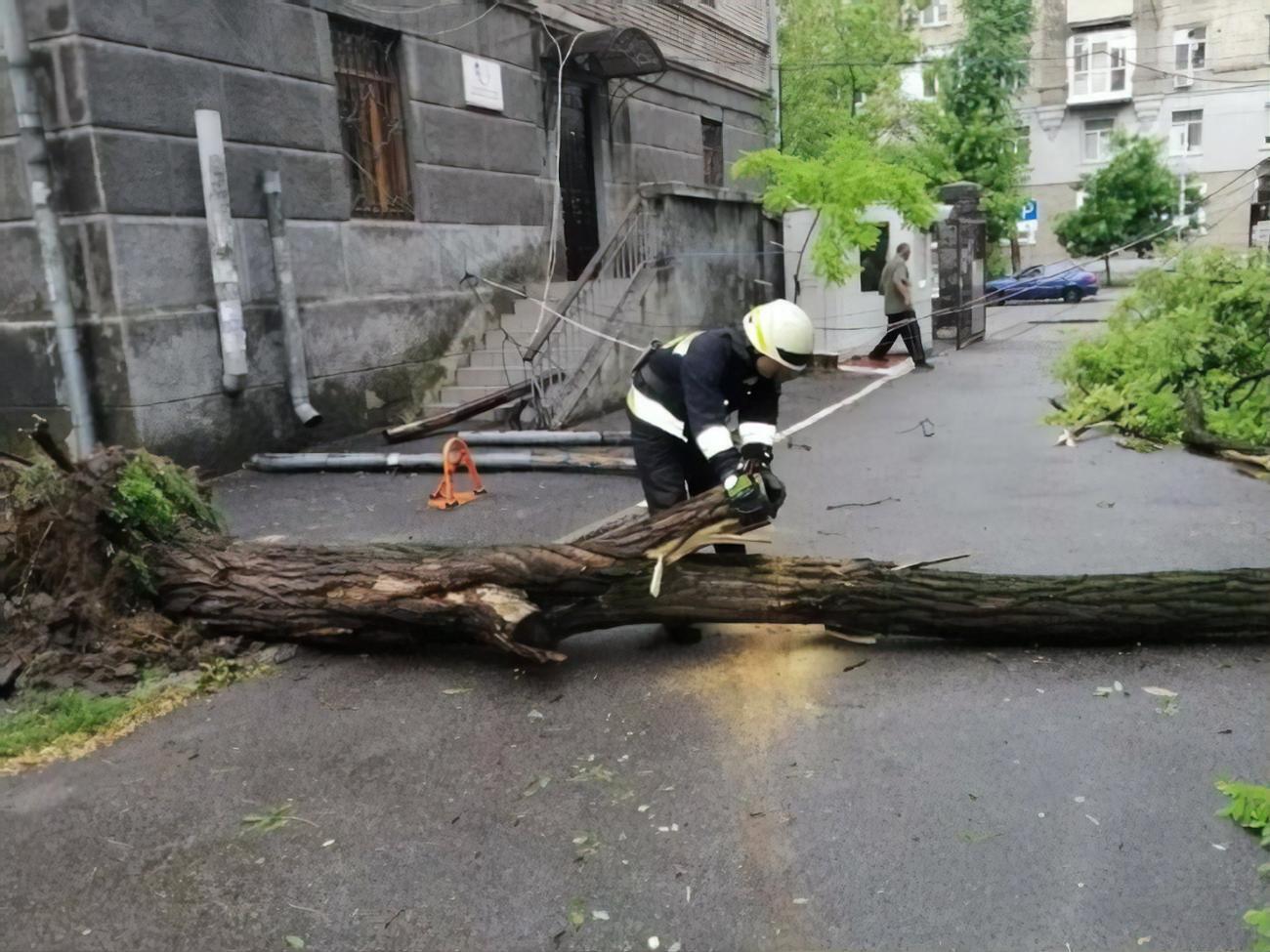 В ГСЧС утверждают, что убрали упавшие деревья