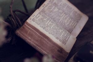 Ситник: Один підозрюваний консультувався із представником релігійної організації щодо цього, чи схвалює Бог такі дії
