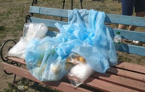 Благодаря Тищенко на месте ЧП появились лимоны