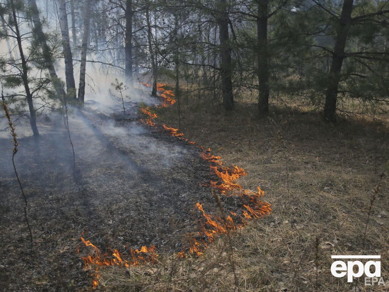 У Чорнобильській зоні загорілася лісова підстилка