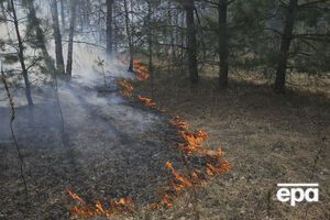 У Чорнобильській зоні загорілася лісова підстилка