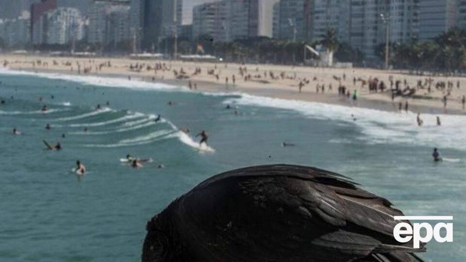 Летальность от коронавируса в Бразилии составляет 4,7%