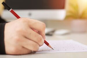 Ожидается, что в 2020 году ВНО пройдет более 379 тыс. человек