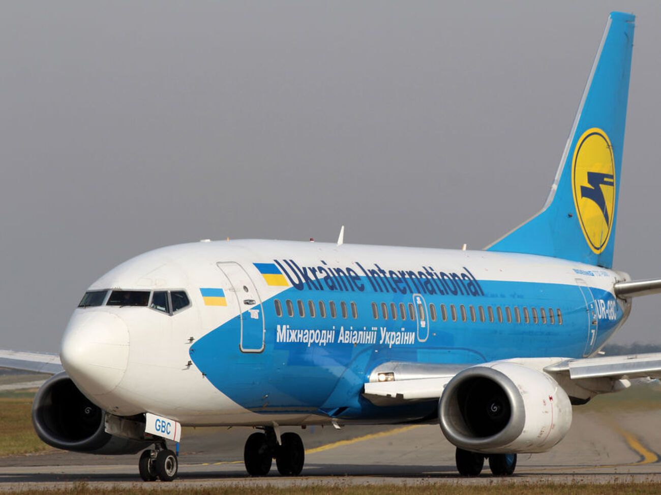 В МАУ заявили, что грузовой отсек, где находились щенки, вентилировался