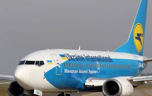 В МАУ заявили, что грузовой отсек, где находились щенки, вентилировался