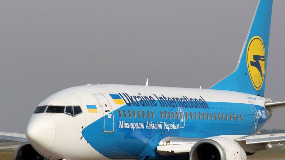 В МАУ заявили, что грузовой отсек, где находились щенки, вентилировался