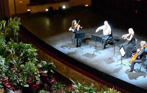 Під час концерту в залі було приблизно 3 тис. рослин