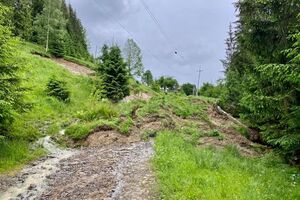 Озеро Кривое появилось в 2008 году во время наводнения