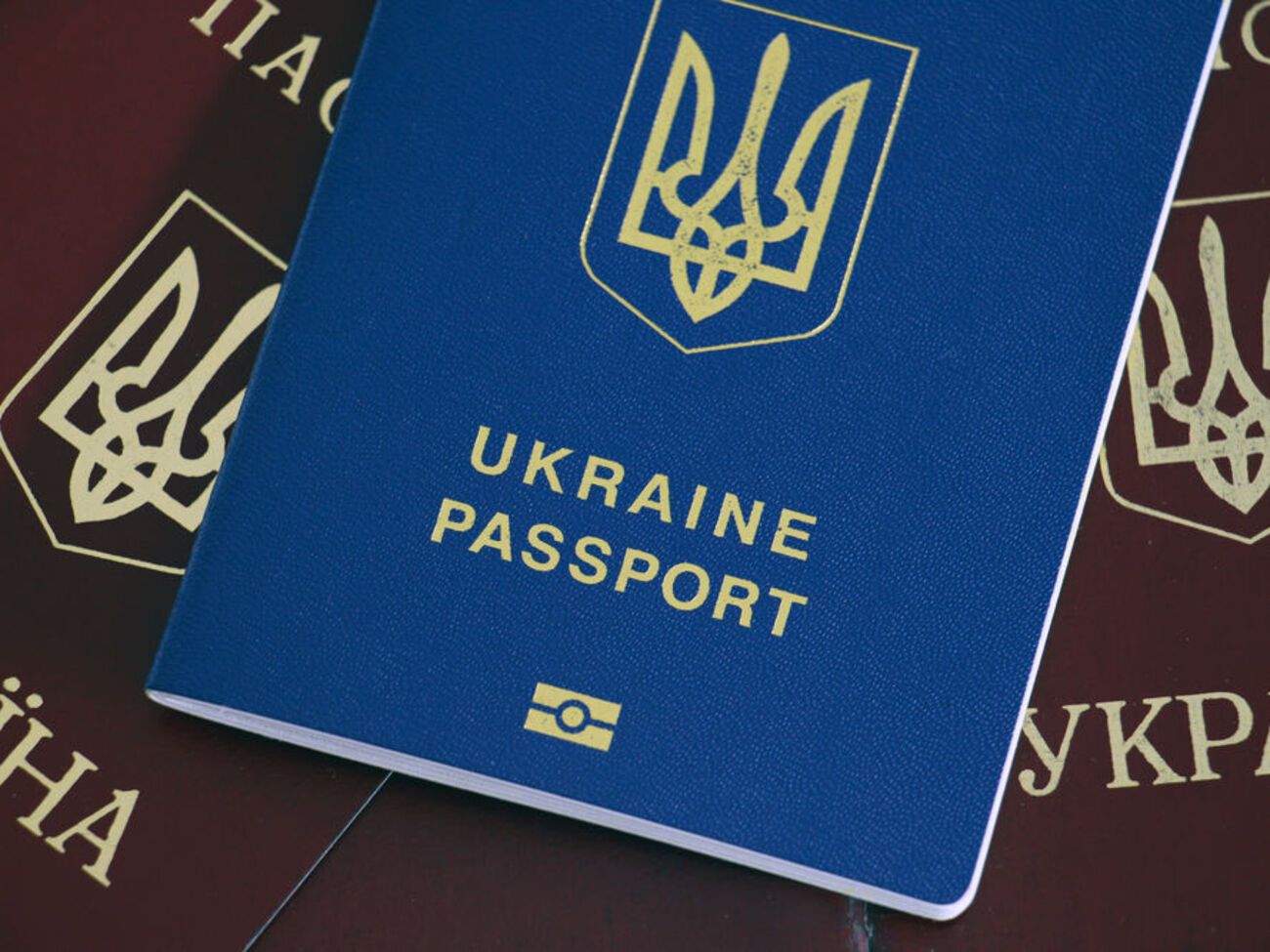 Решение о запрете въезда в РФ по паспорту гражданина Украины было принято в декабре 2019 года