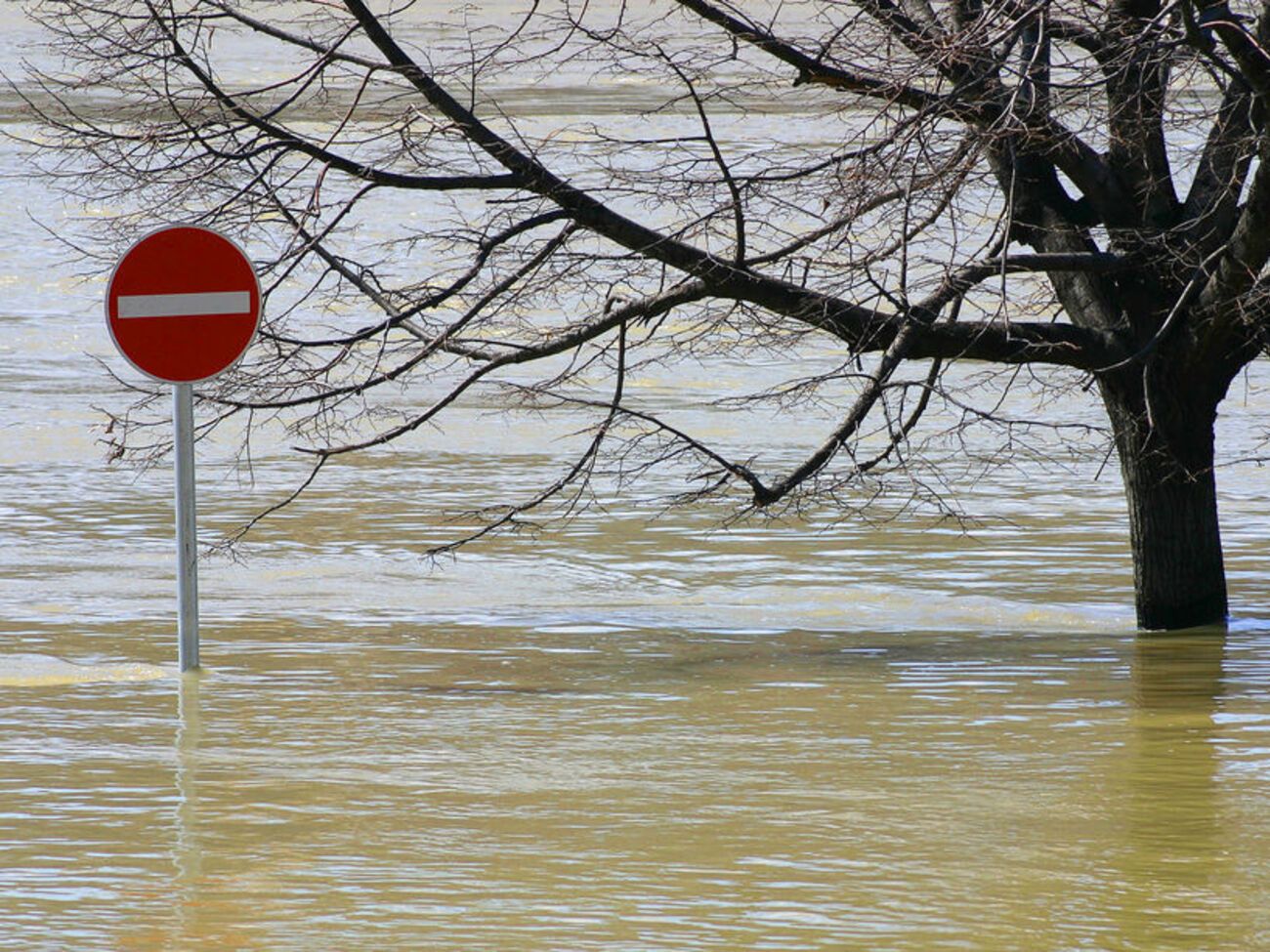 Из-за сильных дождей в Ивано-Франковской, Закарпатской, Черновицкой, Львовской и Тернопольской затопило дороги и домохозяйства