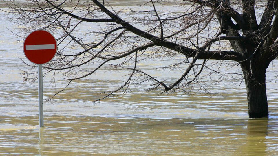 Через сильні дощі в Івано-Франківській, Закарпатській, Чернівецькій, Львівській та Тернопільській областях затопило дороги й домогосподарства