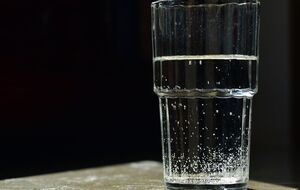 Таджики утверждают, что пьют только воду