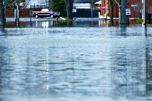 Наводнение в Ивано-Франковской, Черновицкой, Львовской и Тернопольской областях вызвали сильные осадки 22–24 июня