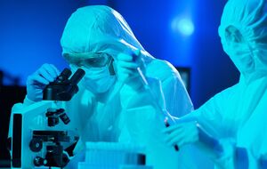 Ученые изучают мутации коронавируса, чтобы понять ход его эволюции