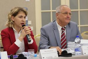 До назначения в правительство Стефанишина была советником юридической фирмы "Ильяшев и партнеры"