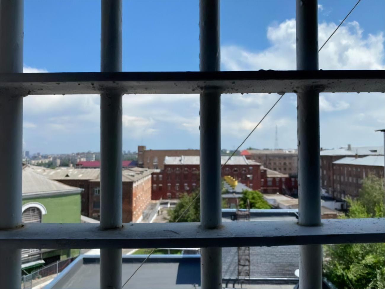 Малюська: Колонии условно делятся на "черные" и "красные"