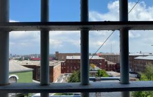 Малюська: Колонии условно делятся на "черные" и "красные"