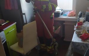 Змею ловили четыре спасателя, рептилию выпустили на свободу