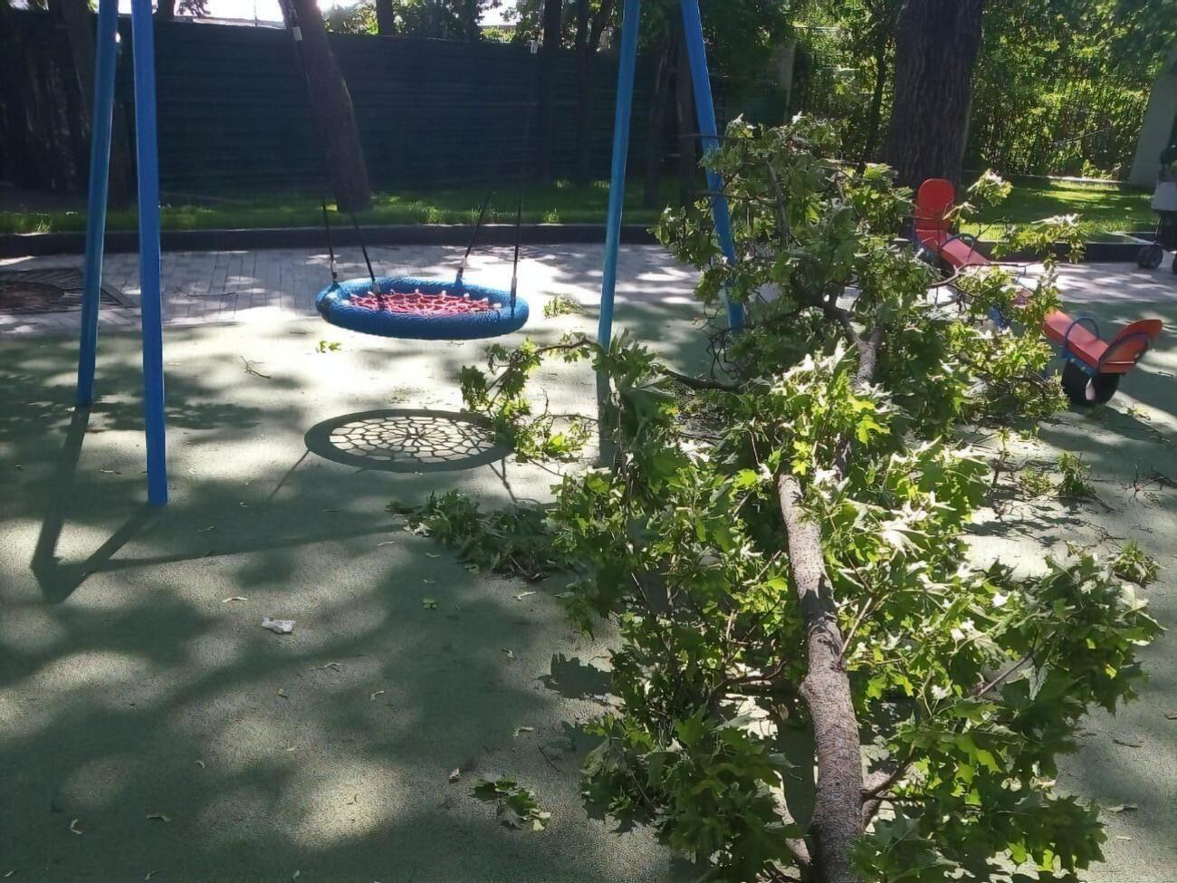 Ребенка с травмой головы и позвоночника госпитализировали