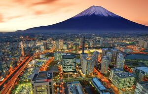 В Токио за последние сутки коронавирусом заразилось 243 человека