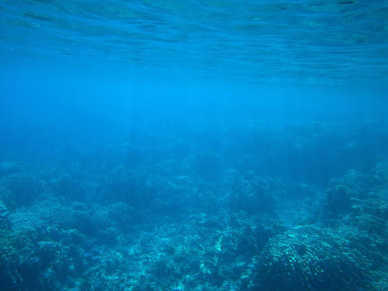 Утонули 11 человек, в том числе пять пропали без вести в морской воде