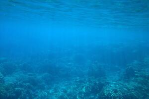 Утонули 11 человек, в том числе пять пропали без вести в морской воде