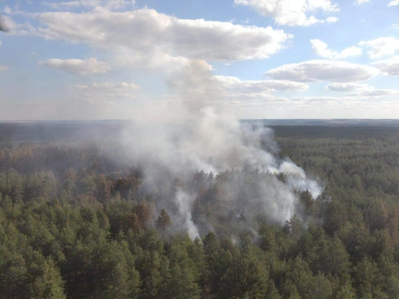 Пожежа в Луганській області знищила 24 житлові будинки, пошкоджено 35