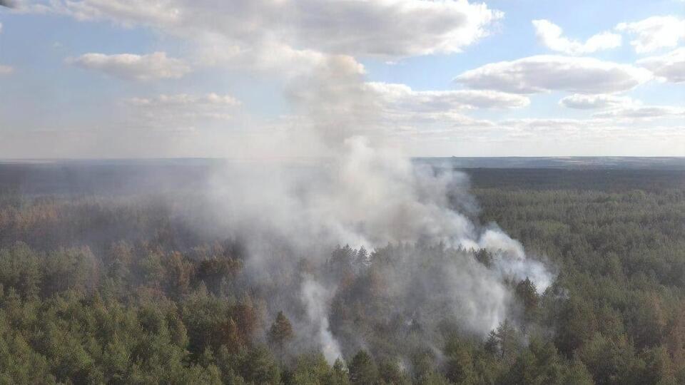 Пожар в Луганской области уничтожил 24 жилых дома, повреждено 35