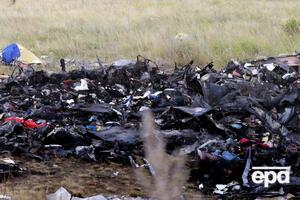 У справі про катастрофу малайзійського літака може з'явитися важливий свідок