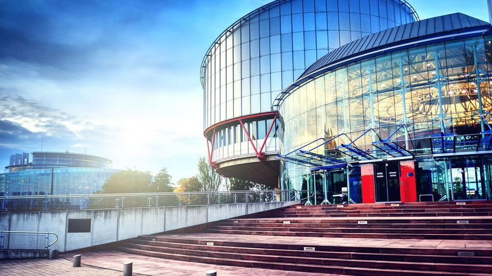 У позові Нідерландів у ЄСПЛ написано, що Росія порушила три статті Європейської конвенції із прав людини