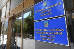 Рада призначила Піщанську головою АМКУ